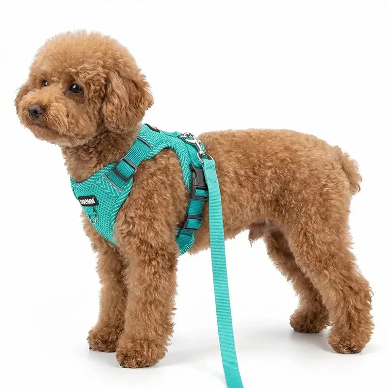 Blue Reflective Breathable Dog Harness and Leash Set Pet Chest Strap Dopamine Pet Supplies Dog Accessories for Small Dogs 2026