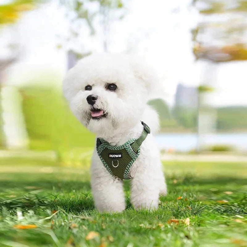 Blue Reflective Breathable Dog Harness and Leash Set Pet Chest Strap Dopamine Pet Supplies Dog Accessories for Small Dogs 2026